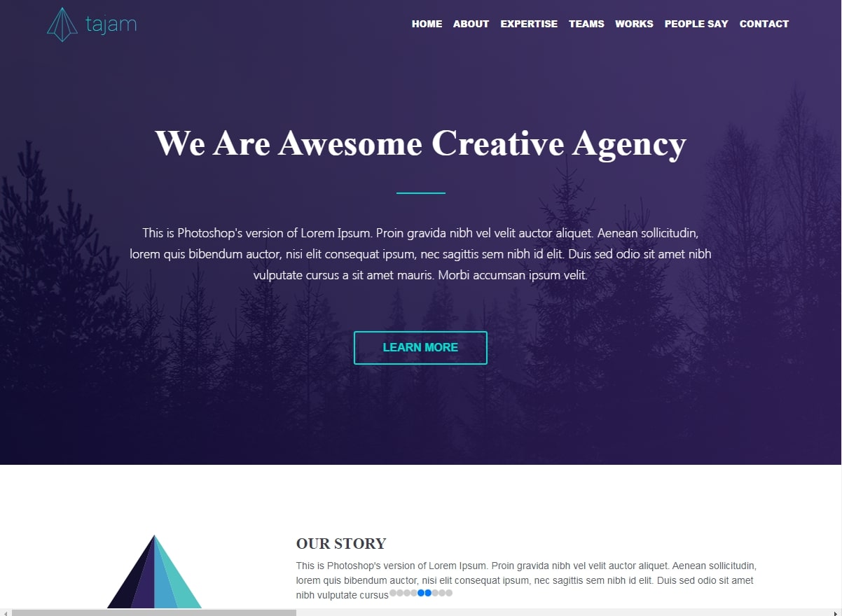 [Image description]: Website developed by Sapnil Suad, full stack web developer in Bangladesh